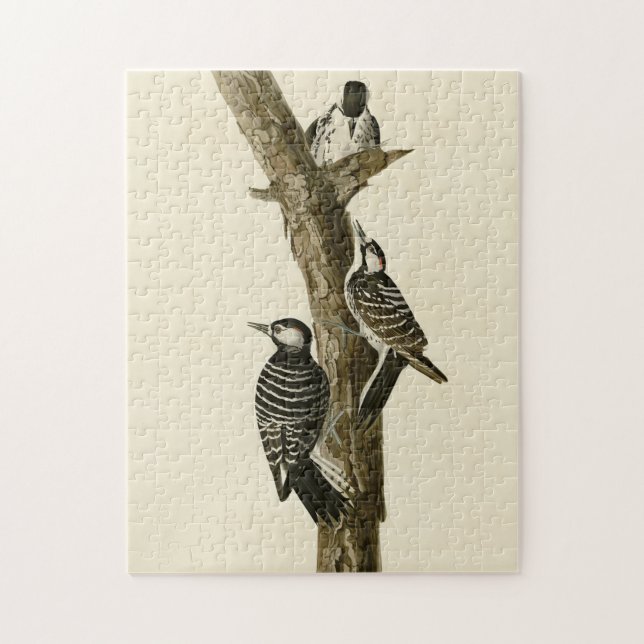 Red-Cockaded Woodpecker Audubon's Birds of America Jigsaw Puzzle (Vertical)