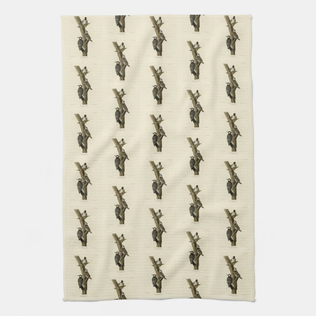 Red-Cockaded Woodpecker Audubon's Birds of America Kitchen Towel (Vertical)