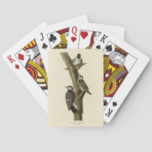 Red-Cockaded Woodpecker Audubon's Birds of America Playing Cards