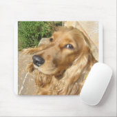 red Cocker_Spaniel_red Mouse Pad (With Mouse)