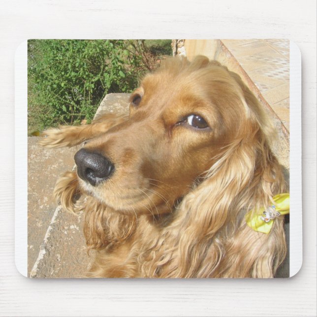 red Cocker_Spaniel_red Mouse Pad (Front)