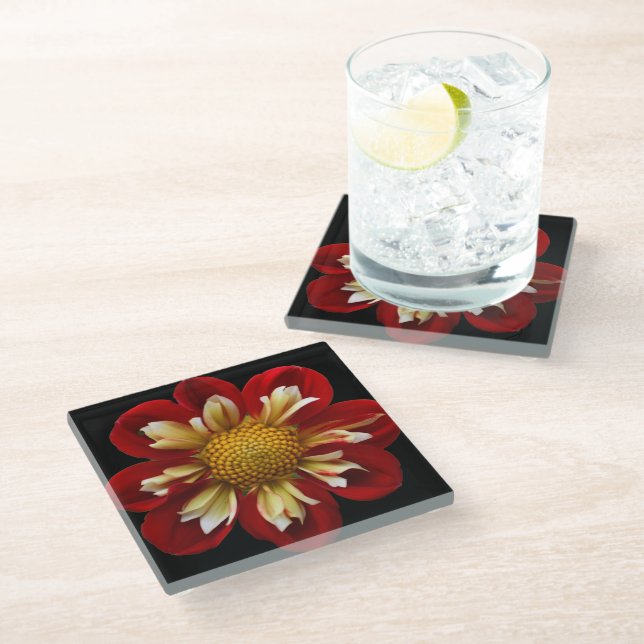 Red Collarette Dahlia on Black Floral Glass Coaster (Angled)