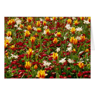 Red Colourful High Park in spring, Toronto, Canada