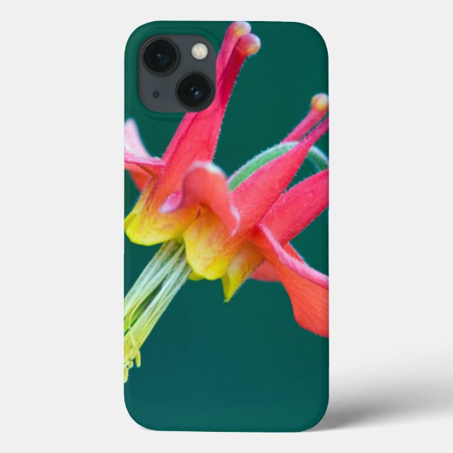 Red Columbine Case-Mate iPhone Case (Back)