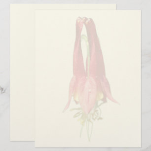 Red Columbine Flower Letterhead