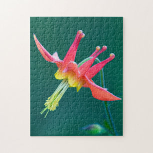 Red Columbine Jigsaw Puzzle