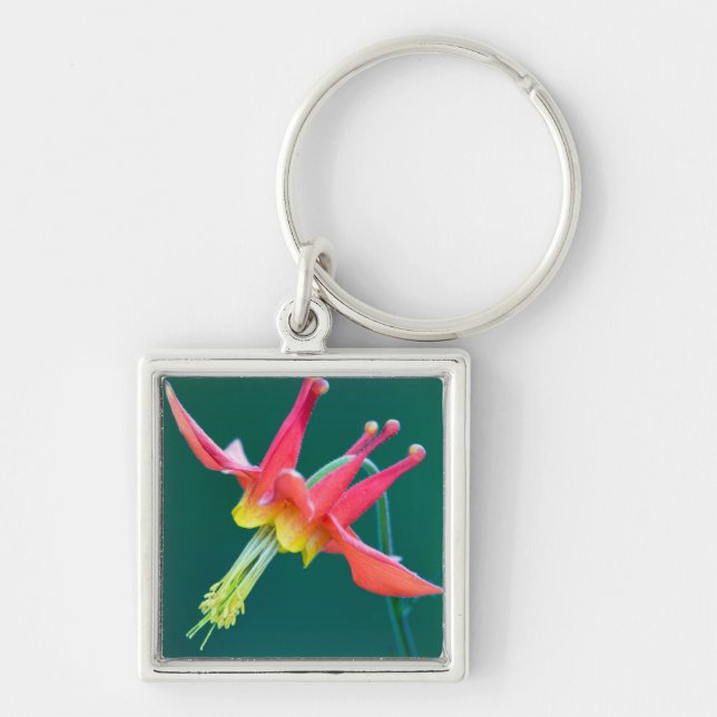 Red Columbine Keychain (Front)