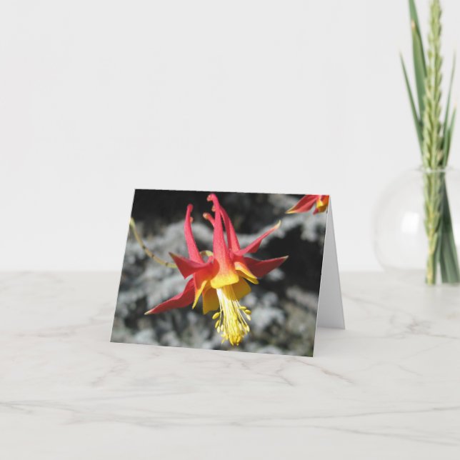 Red Columbine Note Card (Front)