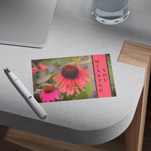 Red Cone Flowers Echinacea Missing You Postcard (Creator Uploaded)