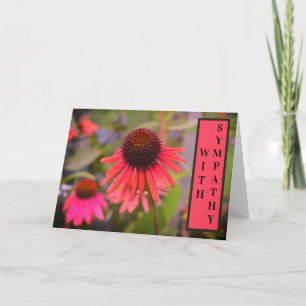 Red Cone Flowers Echinacea With Sympathy Card