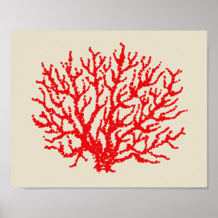 Red Coral Beach Wall Art Poster Print Decor