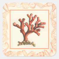 Red Coral with Conch Shell Border