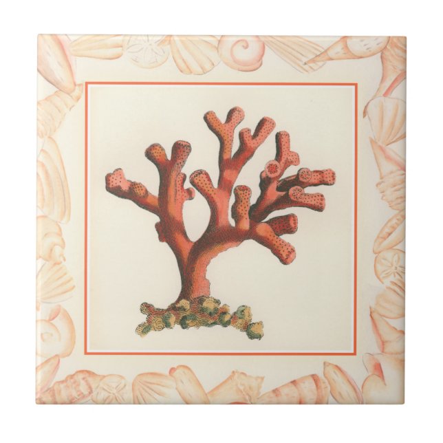 Red Coral with Conch Shell Border Tile (Front)