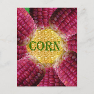 Red Corn Pattern Postcard