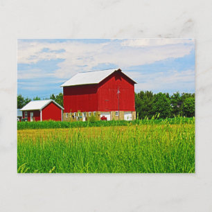 Red Country Barn and Pasture Postcard