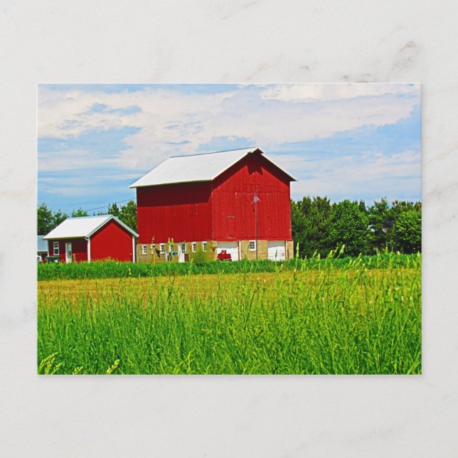 Red Country Barn and Pasture Postcard (Front)
