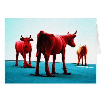 Red Cows