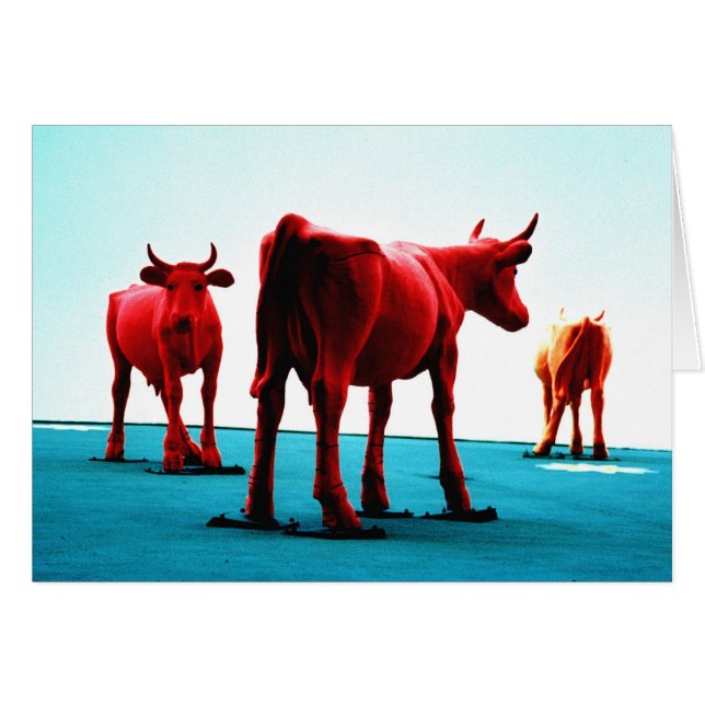 Red Cows (Front Horizontal)