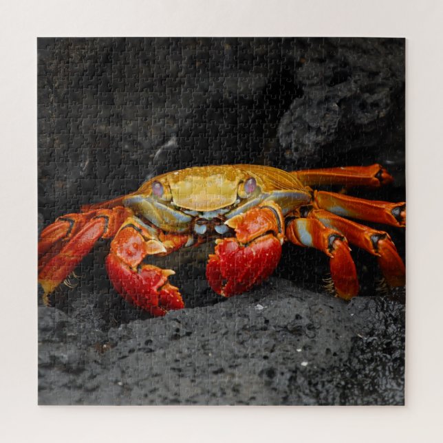Red Crab Jigsaw Puzzle (Vertical)