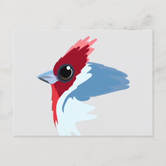 Red-Crested Cardinal Bird  Postcard