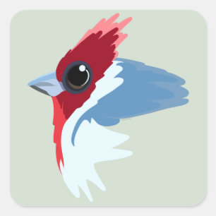 Red-Crested Cardinal Bird Square Sticker