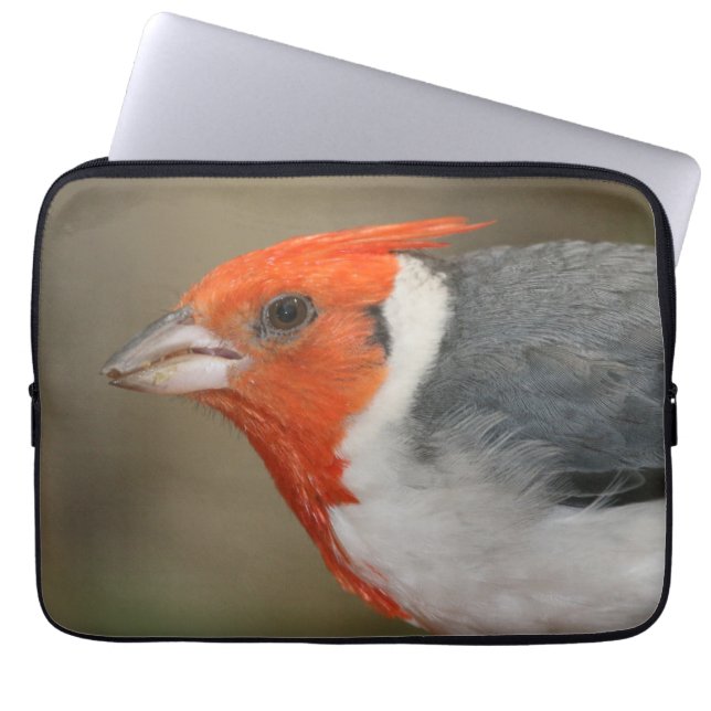 Red Crested Cardinal Laptop Sleeve (Front)