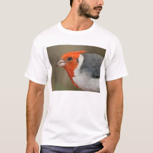 Red Crested Cardinal T-Shirt