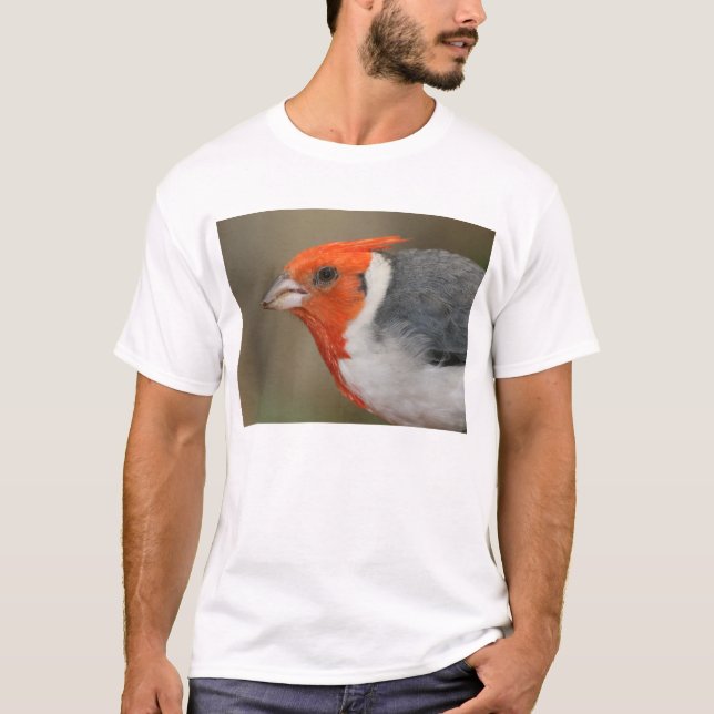 Red Crested Cardinal T-Shirt (Front)