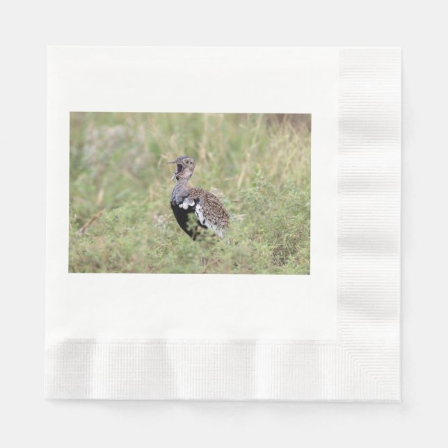 Red Crested Korhaan Napkin (Front)