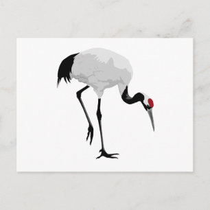Red-Crowned Crane (a.k.a. Japanese Crane) Postcard