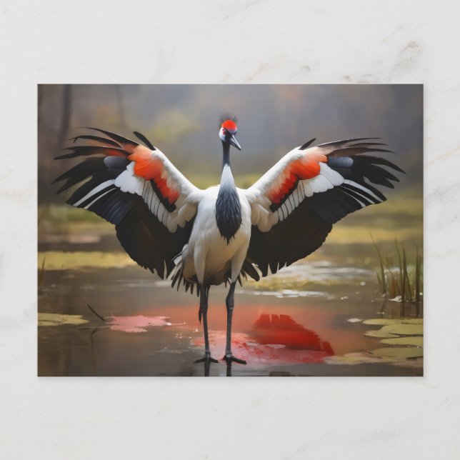 Red Crowned crane standing on water Postcard (Front)