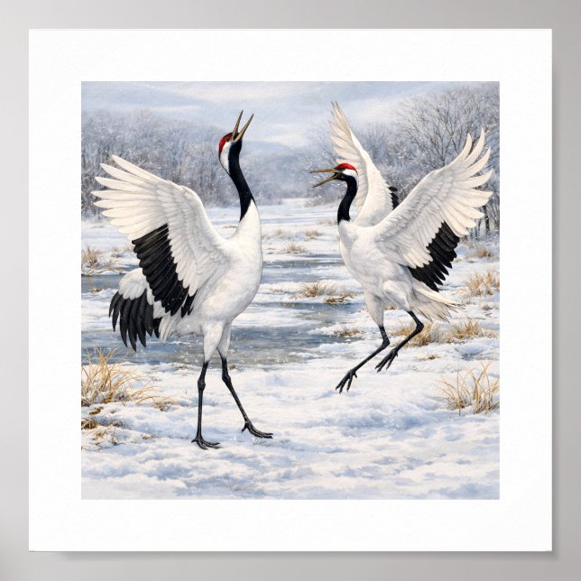 Red-crowned Cranes Dancing in Winter –  Poster (Front)