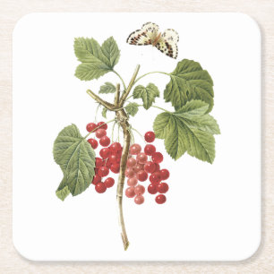 red currant(Ribes rubrum) by Redouté Square Paper Coaster