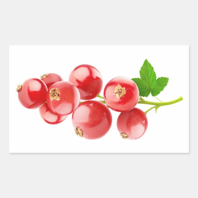 Red currants sticker (Front)