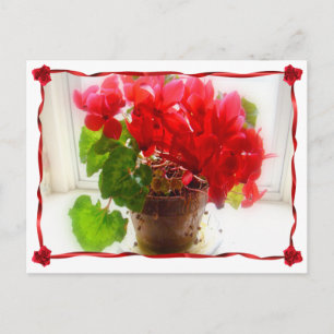 Red Cyclamen Flowers Postcard