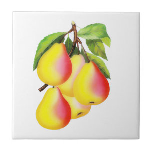 Red D’Anjou Pears - vintage illustration Tile