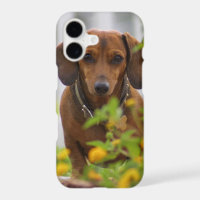 Red Dachshund iPhone 7 case