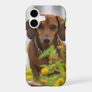 Red Dachshund iPhone 7 case