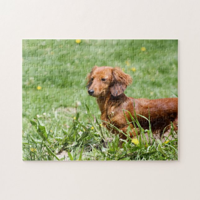 Red Dachshund Jigsaw Puzzle (Horizontal)