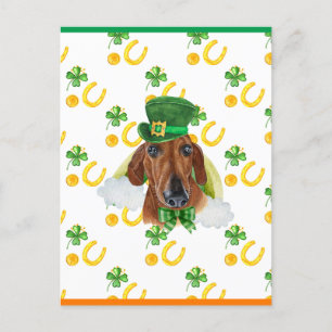 Red Dachshund Shamrock St. Patricks Day Holiday Postcard