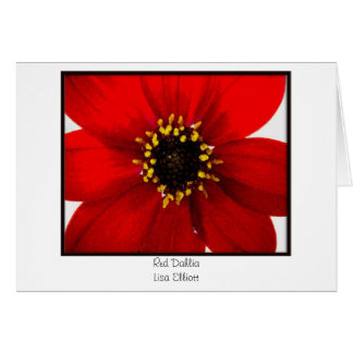 Red Dahlia