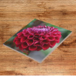 Red Dahlia Bloom Floral Ceramic Tile<br><div class="desc">Ceramic tile that features the photo image of a red Dahlia bloom. A lovely, floral design! Select your tile size. Makes a great kitchen trivet!</div>