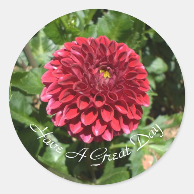 Red Dahlia Classic Round Sticker (Front)