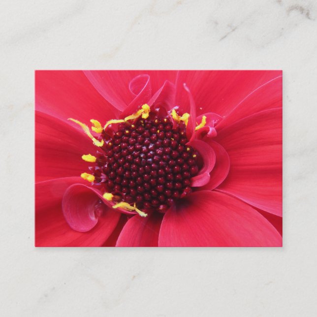 Red Dahlia Close-up Business Card (Front)