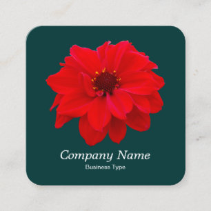 Red Dahlia - Dark Green Square Business Card