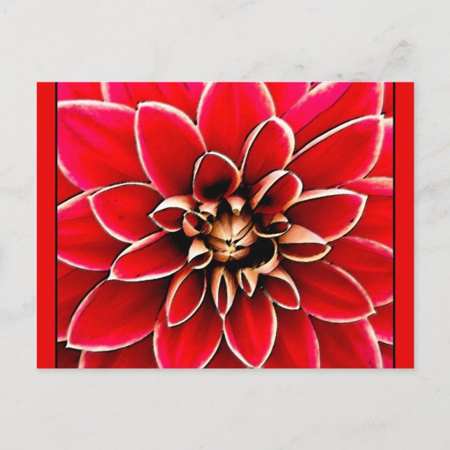 Red Dahlia, digital art Postcard (Front)