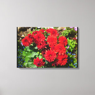 Red Dahlia Flower Canvas Print