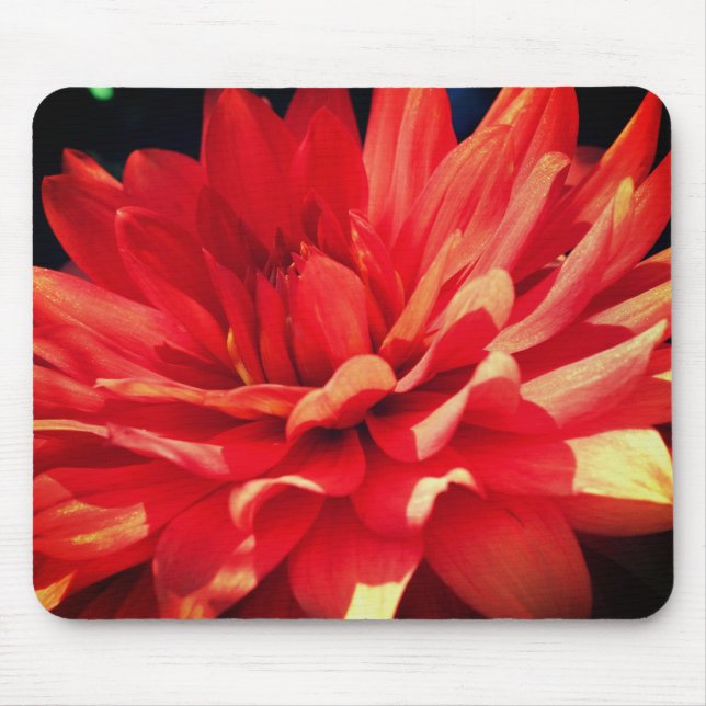 Red Dahlia Flower  Mouse Pad (Front)