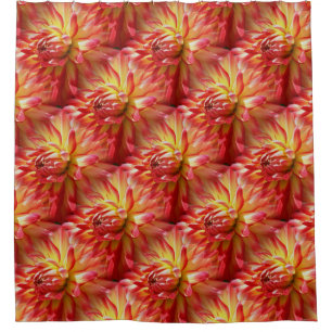 Red Dahlia Flower Nature Pattern