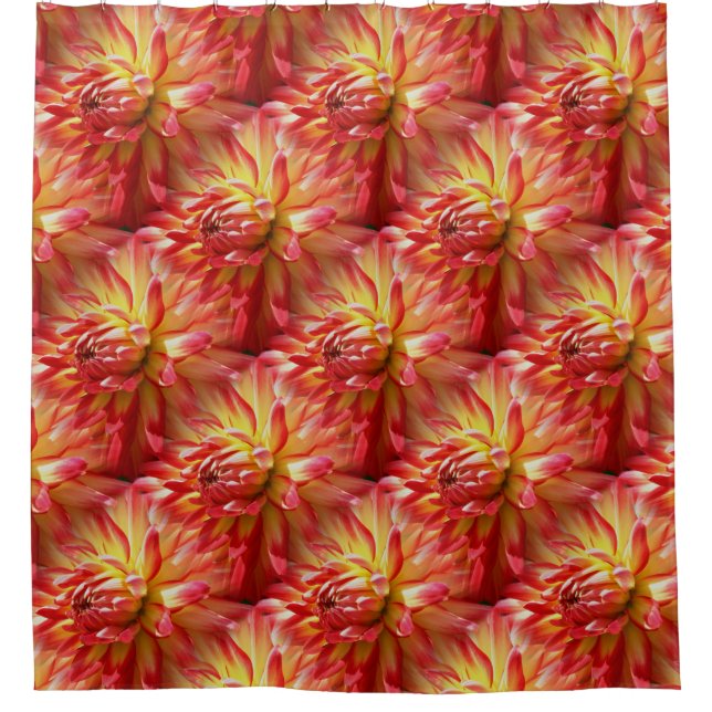 Red Dahlia Flower Nature Pattern  (Front)